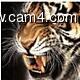 Sehen Sie sich srxmns Live-Sexshow an